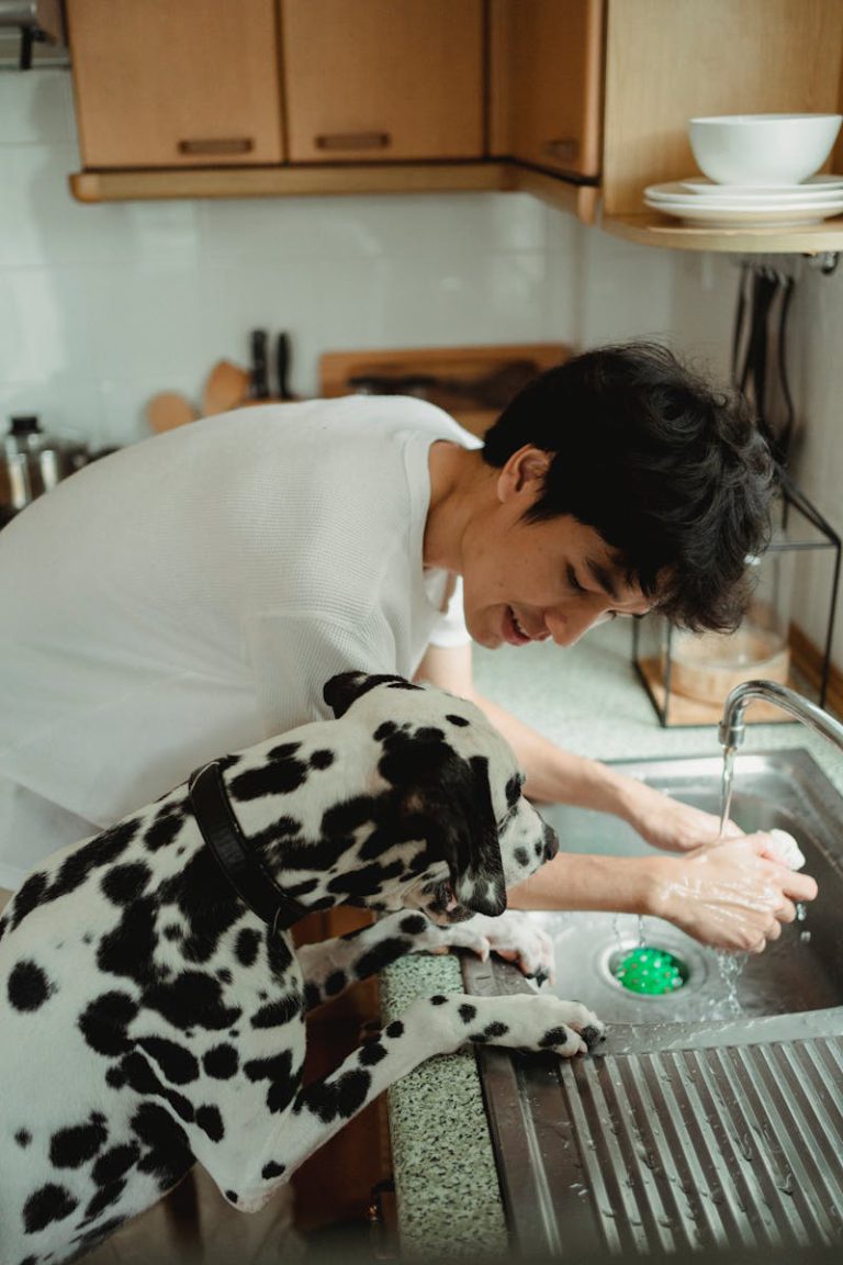 A young man leans over a kitchen sink washing dishes with a Dalmatian dog beside him.